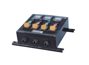 ZXF8044系列防爆防腐控制箱(IIC、Ex Td)